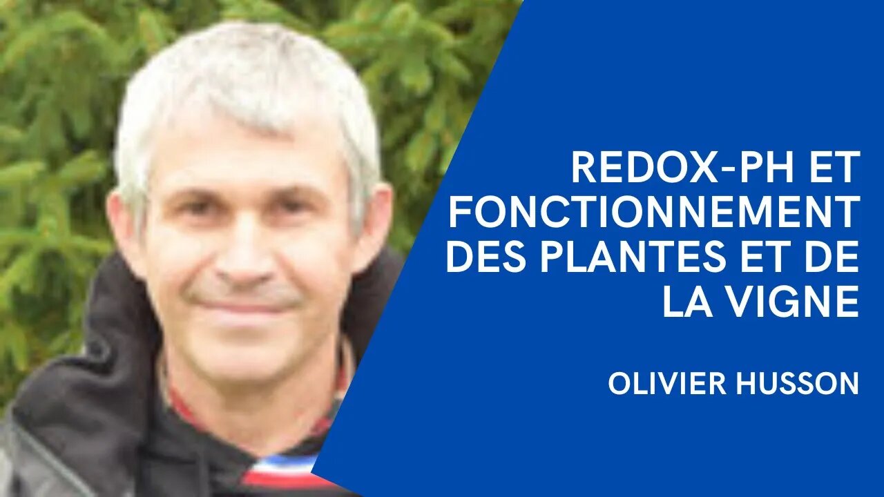 Olivier Husson 3/7 : Redox-pH et fonctionnement des plantes et de la vigne