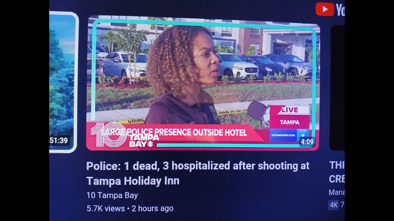 SINGLE BITCHES ARE WHORES & LYING BASTARDS!! THEY'RE TO BLAME FOR CRIME INCREASING IN AMERICA