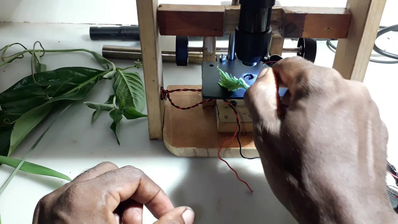 DIY BIOLOGY MICROSCOPE magnification