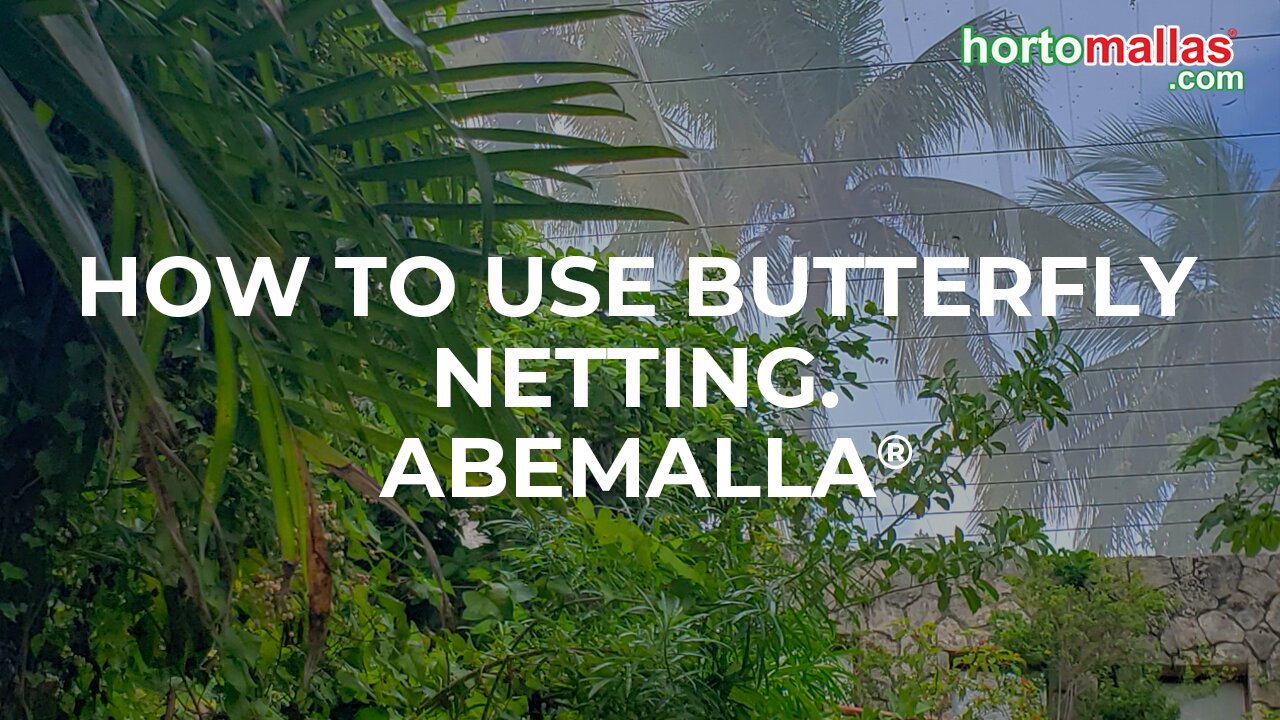 How to use butterfly netting. ABEMALLA®