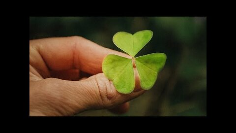 15 Wild Edible Plants for Bushcraft & Survival