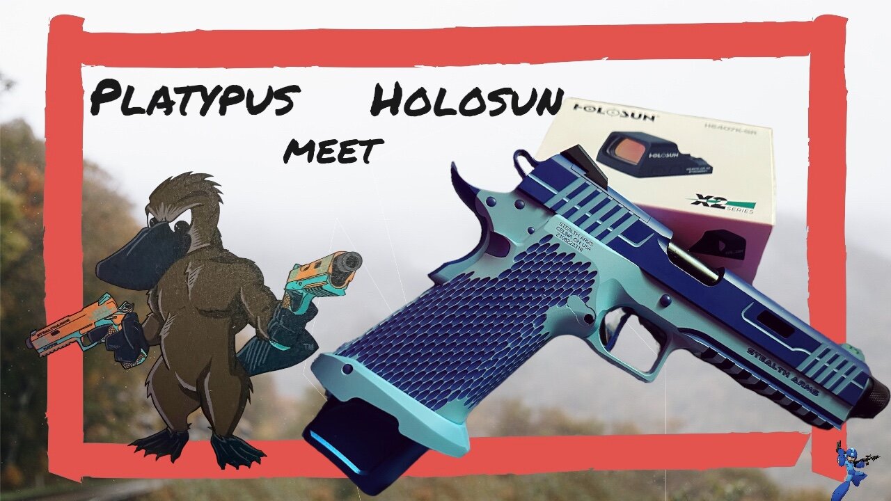 Holosun 407k on Stealth Arms Platypus