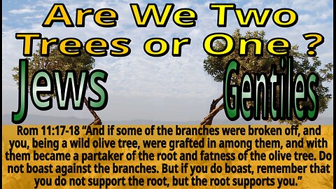 Two Trees or One?