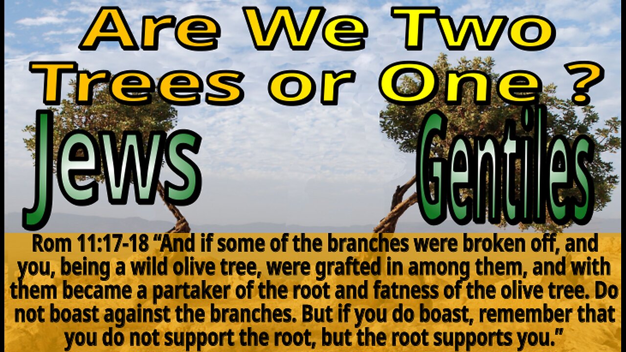 Two Trees or One?