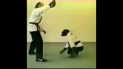 Karate Chimp