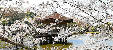 Ukimido | Nara Park