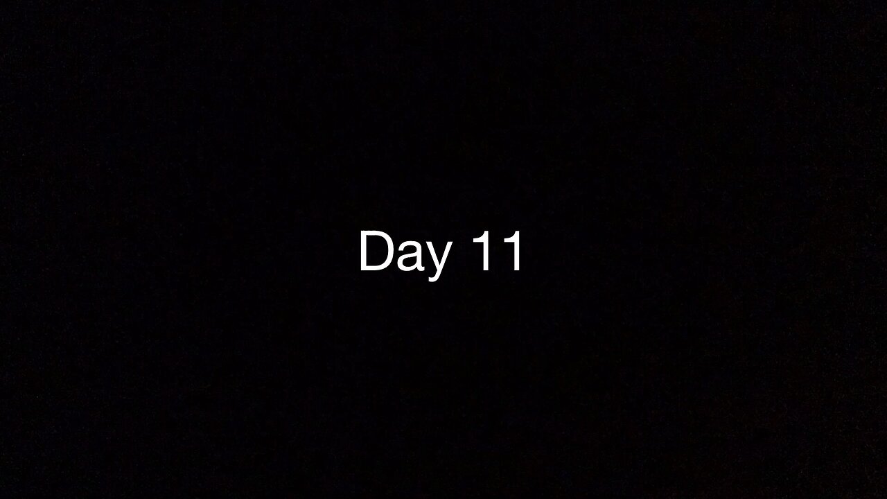 Day 11