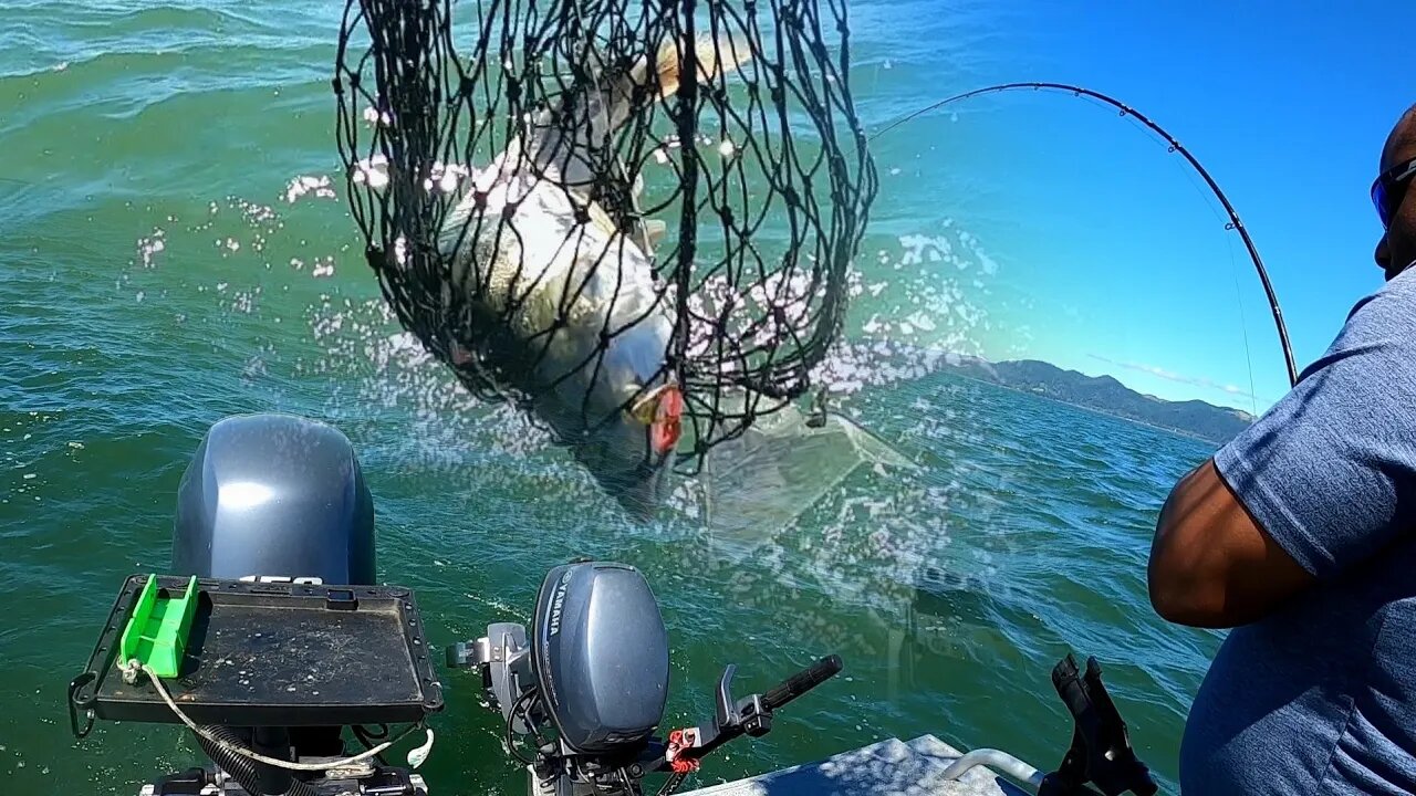 Chinook Salmon Fishing in Astoria, Oregon