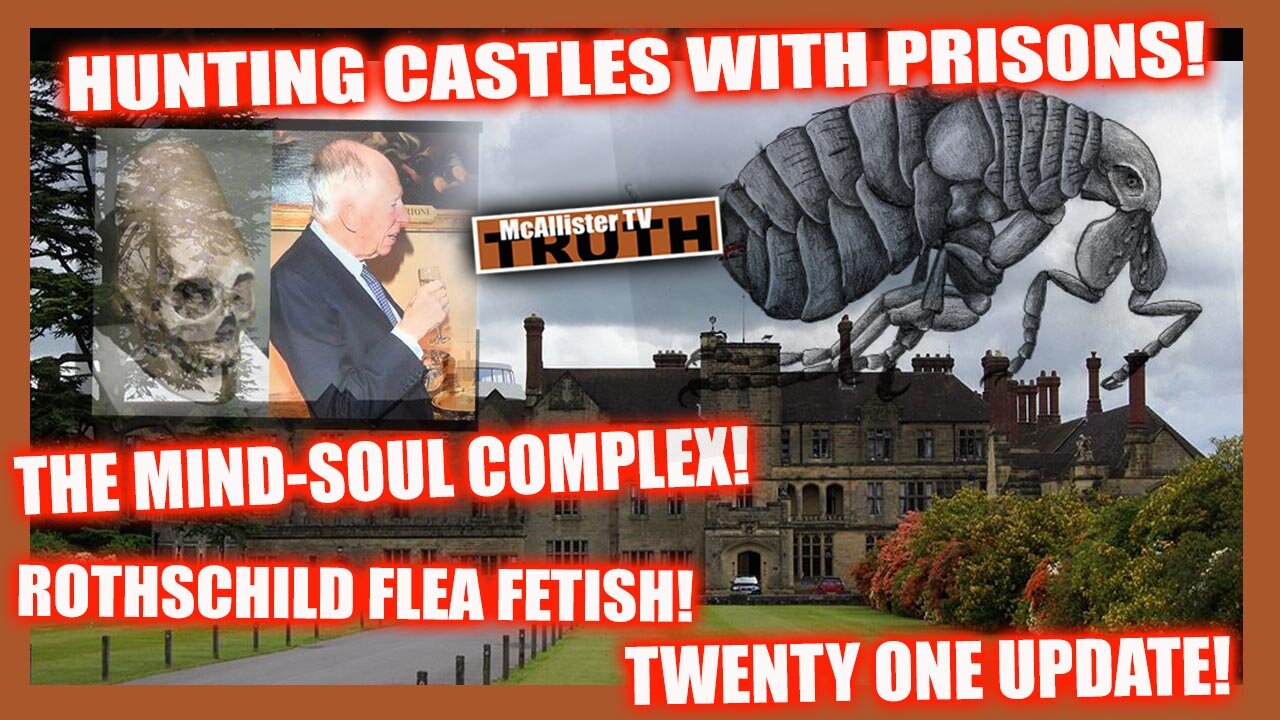 FLASH! THE MIND_SOUL COMPLEX! ROTHSCHILD'S FLEAS! CASTLES WITH PRISONS! SOUL LOOP!