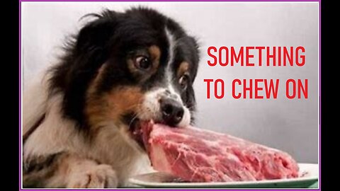 SOMETHING TO CHEW ON #13