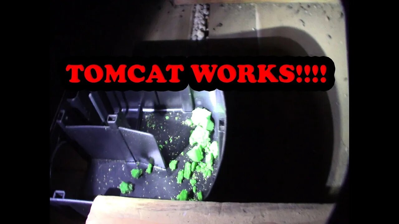 Tomcat mouse and rat bait station trap review part 2