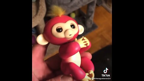 Fingerlings - Interesting Symbols