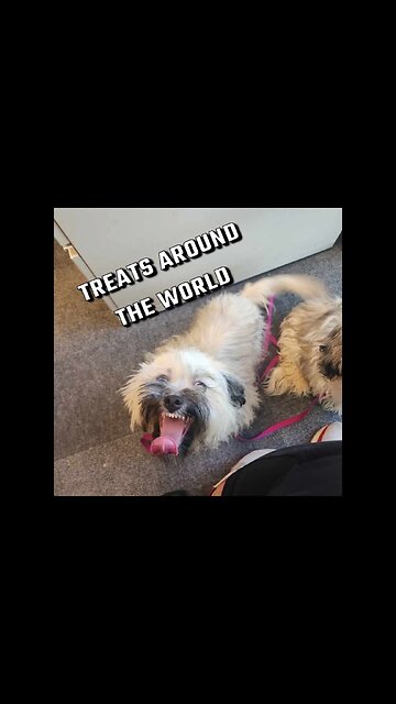 Suck in Epcot round 2