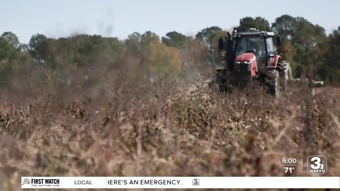 Russia-Ukraine War already impacting farmers in the Heartland