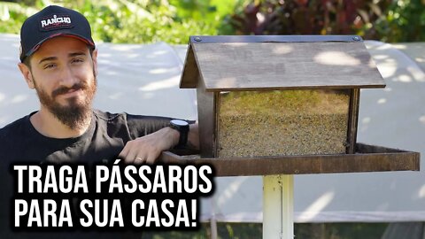 Fiz um alimentador de pássaros livres!