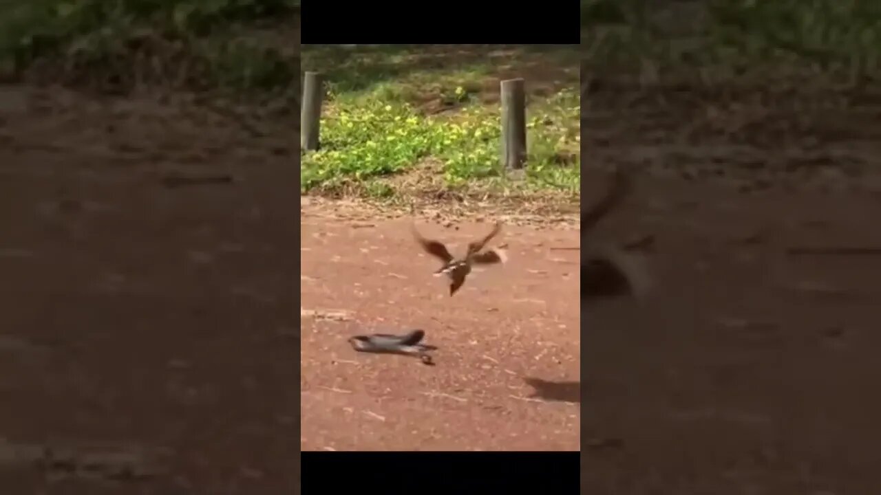 Vadivelu Mass Comedy