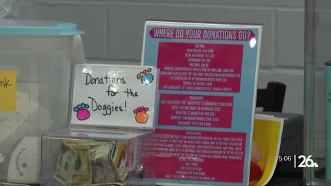 Pins for Pups raises money for "pawsome" local dog rescue