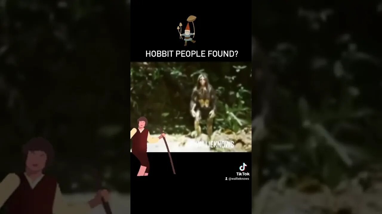 Hobbits Found