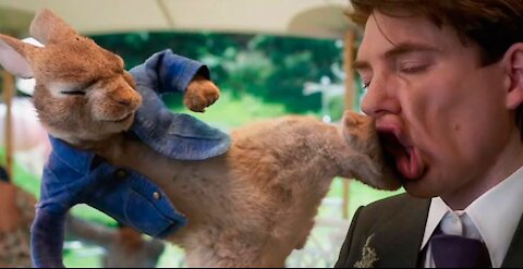 Peter rabbit 2 | Trailer