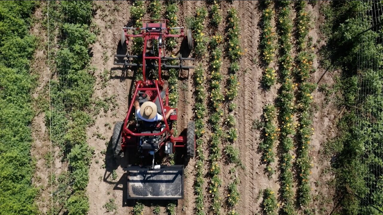 Former Software Engineer Aims To Change The Future Of Farming