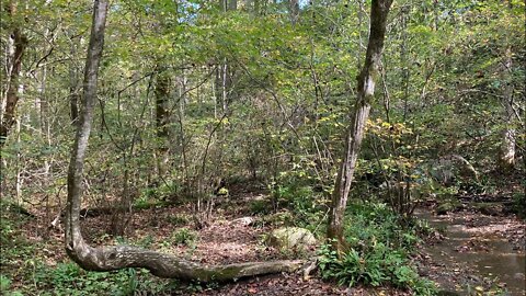 Cades Cove New Year Camping