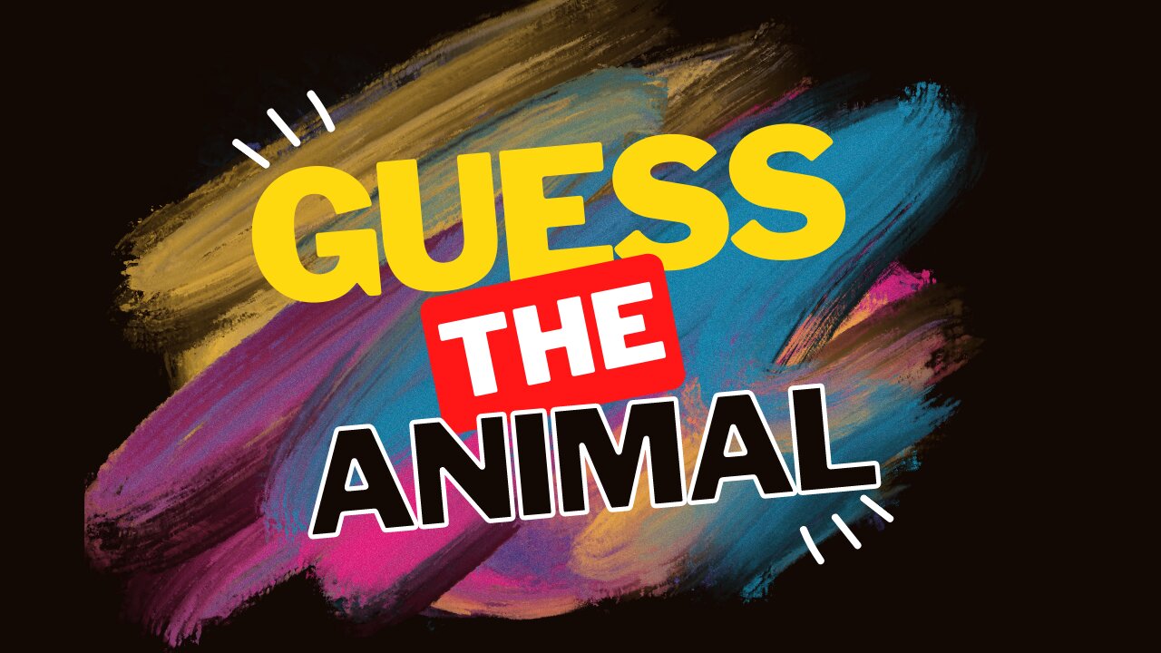 Guess 20 animals with help of single hint