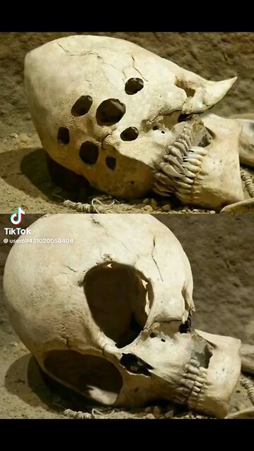 They have been here a long time