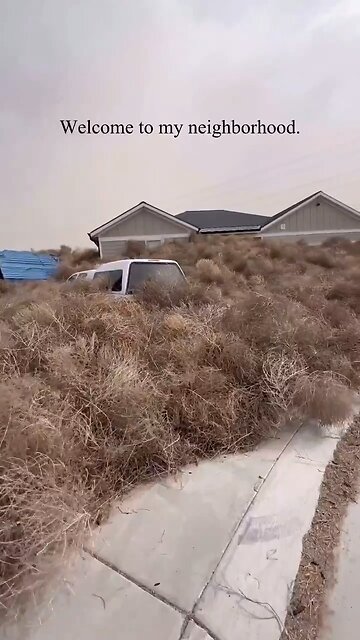 Utah Neighborhood invaded by Tumbleweeds during the Big storm.