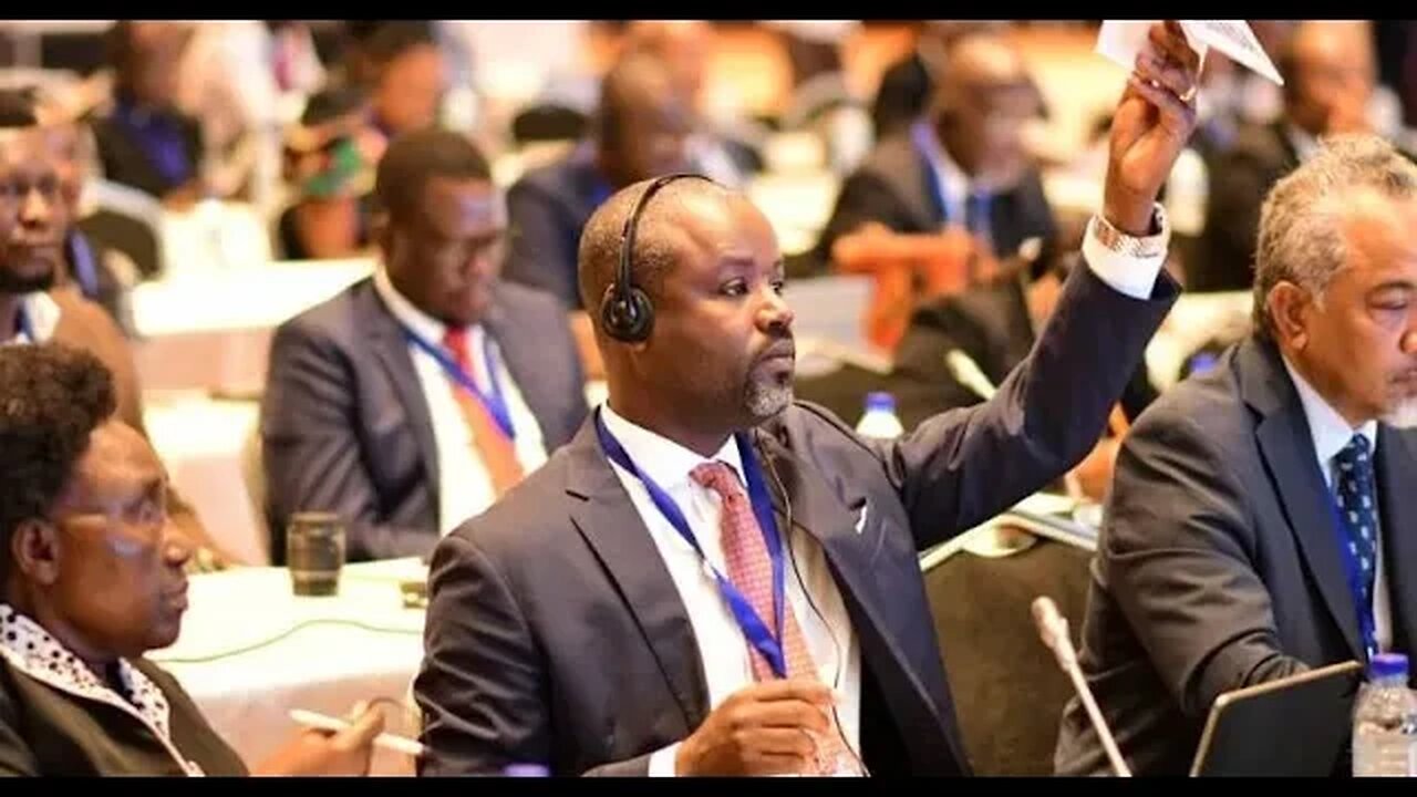 DEPUTY SPEAKER leads push for reforms as African leaders turn heat on UN Security Council