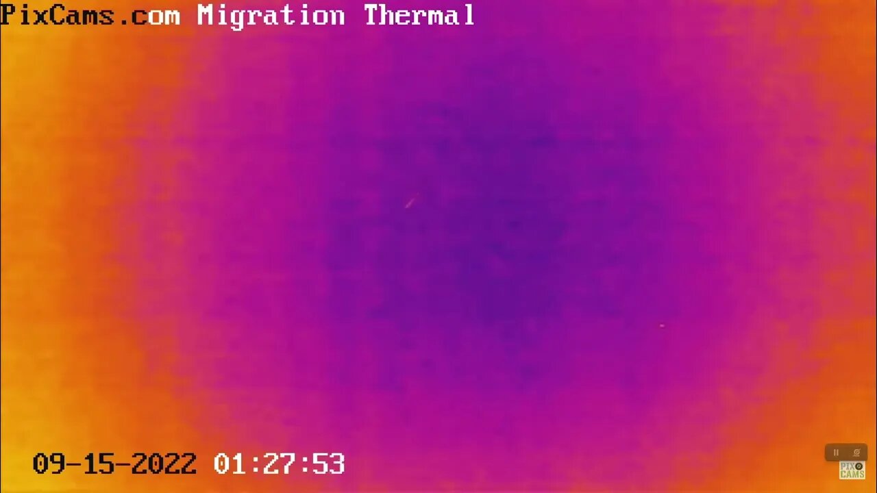 Fall Migration 2022 Thermal Camera - 9/15/2022 @ 1:28 AM - Small flock at high altitude