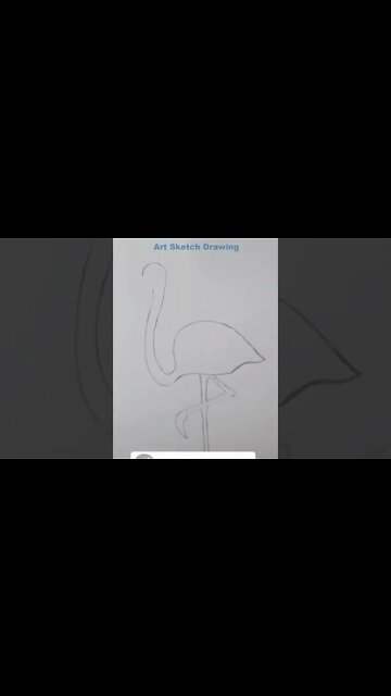 Easy Flamingo Pencil Drawing Shorts-2 #drawingshorts #shortdrawingvideo #shorts
