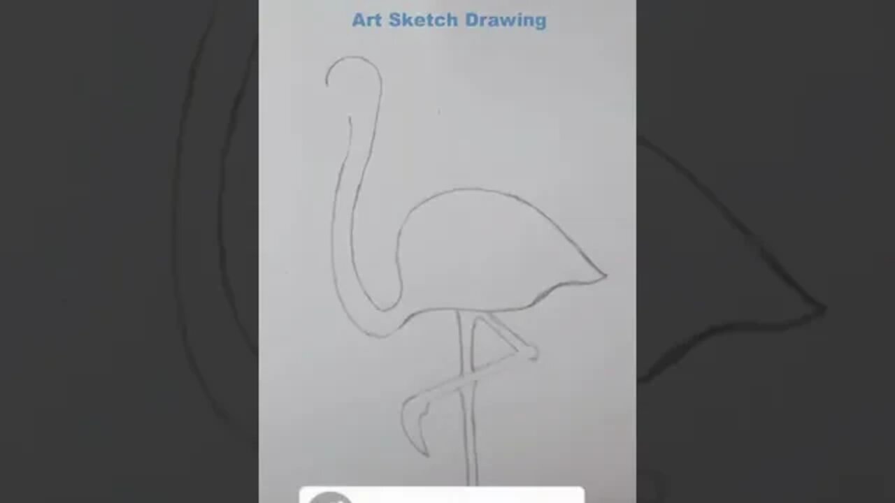 Easy Flamingo Pencil Drawing Shorts-2 #drawingshorts #shortdrawingvideo #shorts