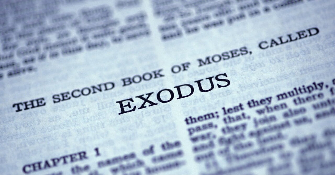 Exodus 8 | Plagues 2-4 | Frogs, Lice and Flies | Pastor Aaron Thompson