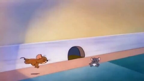 Tom And Jerry Bangla Cartoon New Dubbing Video Funny Tom And Jerry Bangla 1