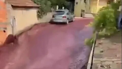 Painting the town red! Incredible moment a river of WINE flows through Portuguese village when disti