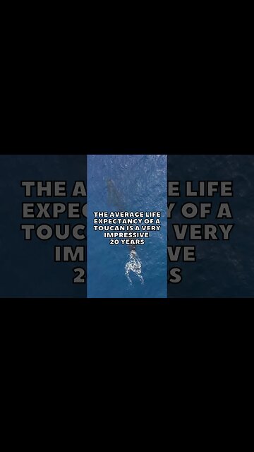 Incredible Random Facts That Will Expand Your Mind! [2023] #shorts #facts #viralshorts #fyp #life