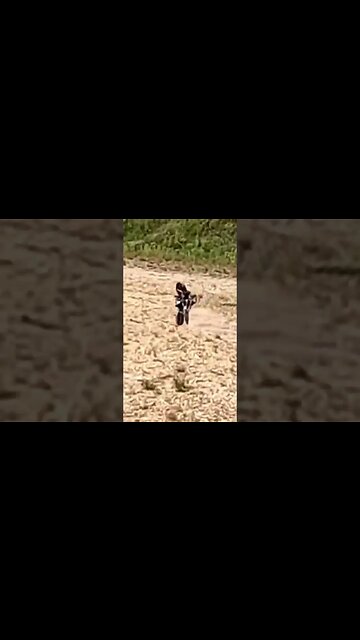 RC dirtbike speeding by