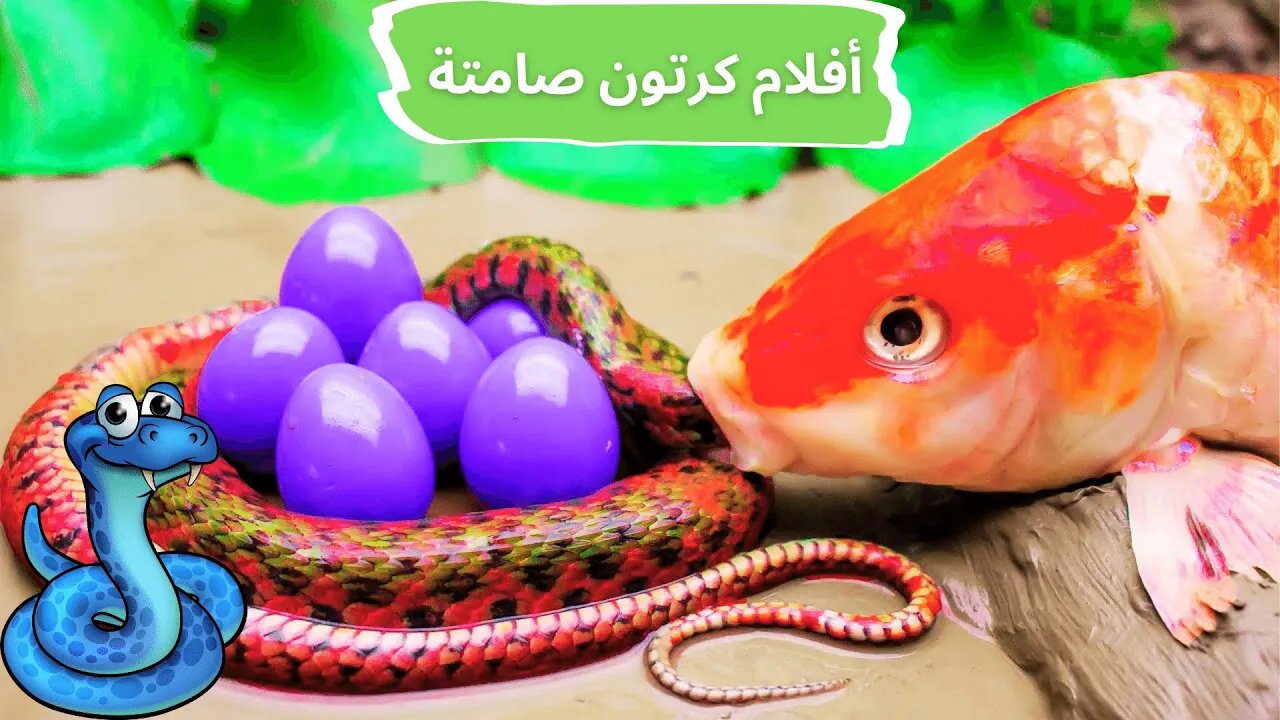 سمك الكارب الذهبي يأكل الثعبان 🐍🐸 أفلام كرتون صامتة ـ رسوم متحركة ـ حرب المطبخ