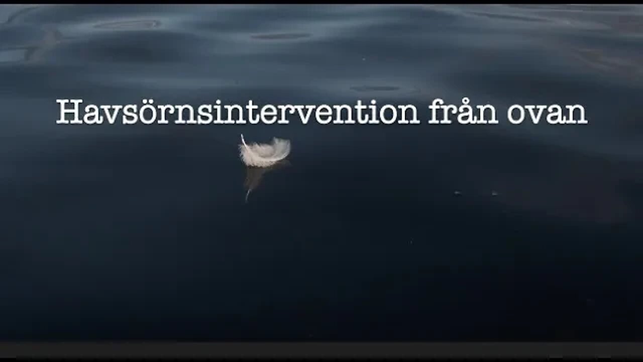 Havsörnsintervention från ovan