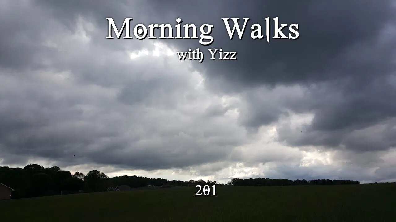 Morning Walks with Yizz 201