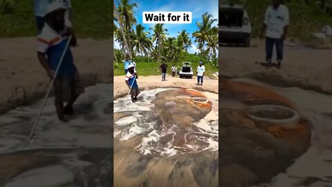 Talent #shorts #viral #saintpee #youtubeshorts #art