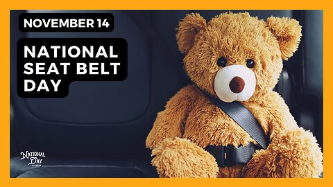 NATIONAL SEAT BELT DAY | November 14