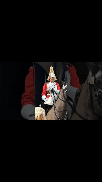 Guard shouts at tourist #horseguardsparade