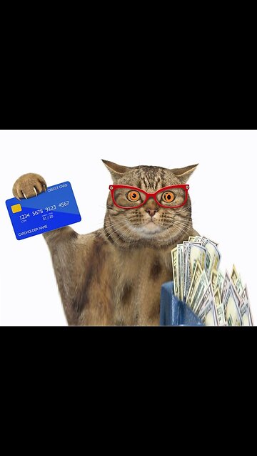 Funny & Cute Cats and Dogs