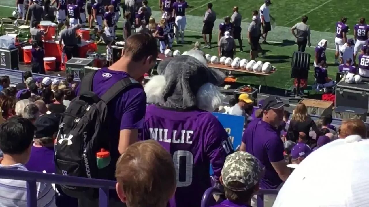 Willie the Wildcat mascot at a Northwestern University Wildcats football game