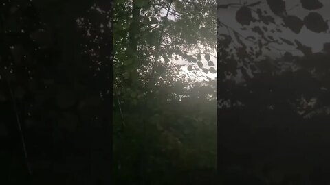 In one online video a driver can be heard saying: 'I have to go to hospital...