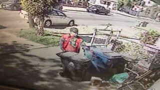 Man steals family's parrot in broad daylight