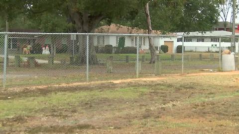 Vandals tear up West Tampa Little League baseball field delaying practice for nearly 200 kids