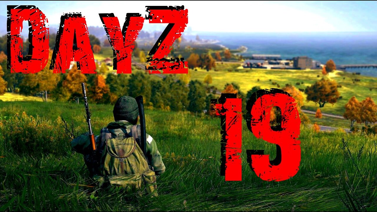 DayZ #19