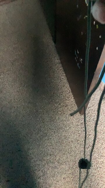 How not to use a sling